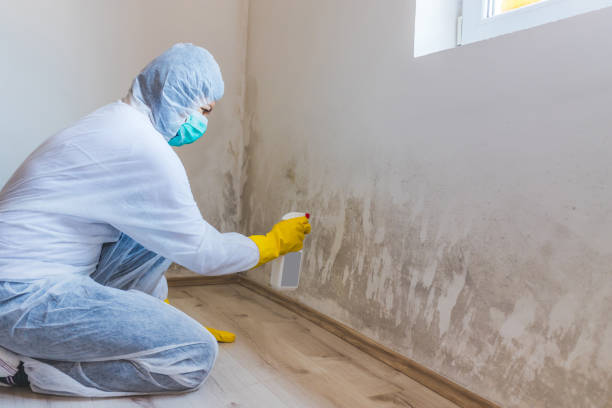 Mold inspector in Clarksville performing thermal imaging